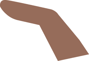 Polygon